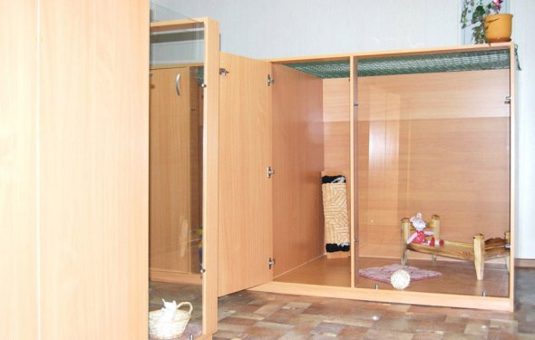 Гостиницы для кошек и собак